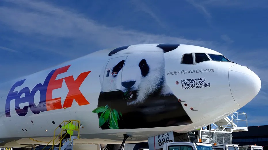 FedEx 777F İle İki Dev Pandayı Atlanta’ya Taşıdı